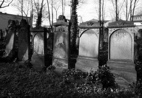 Legnica (Liegnitz). Macewy z drugiej połowy XIX wieku w alei głównej cmentarza żydowskiego z 1838 roku, który jest nadal czynny. Fot. Piotr Piluk (1997)
